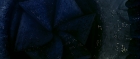 extant_StarTrek_TheMotionPicture_6485.jpg