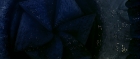 extant_StarTrek_TheMotionPicture_6486.jpg