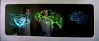 extant_StarTrek_TheMotionPicture_6853.jpg