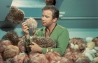 Filename=Star_Trek_Celebrity_City_Promos_2685_123.jpg
Filesize=1000KiB
Dimensions=3033x1974
Date added=Jan 19, 2012 Star_Trek_Celebrity_City_Promos_2685_123.jpg