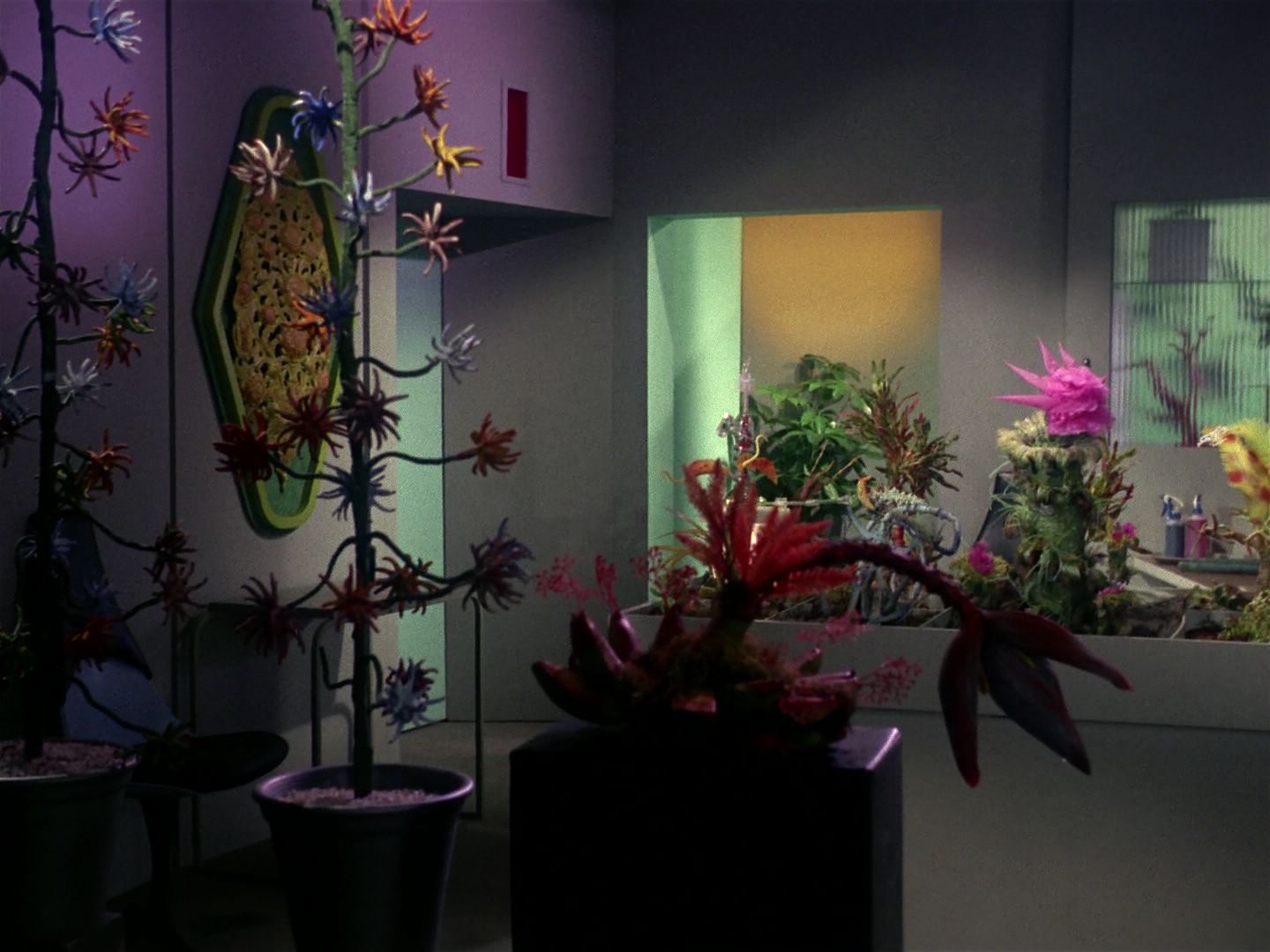 ariane179254_StarTrek_1x01_TheManTrap_1215.jpg