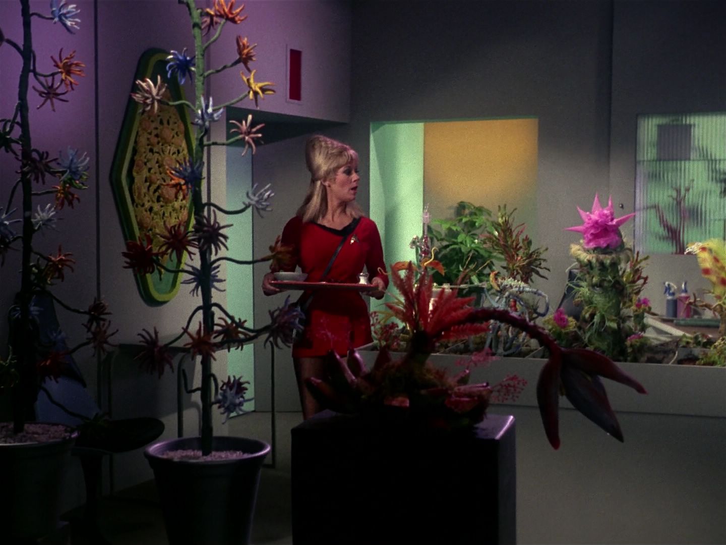 ariane179254_StarTrek_1x01_TheManTrap_1219.jpg