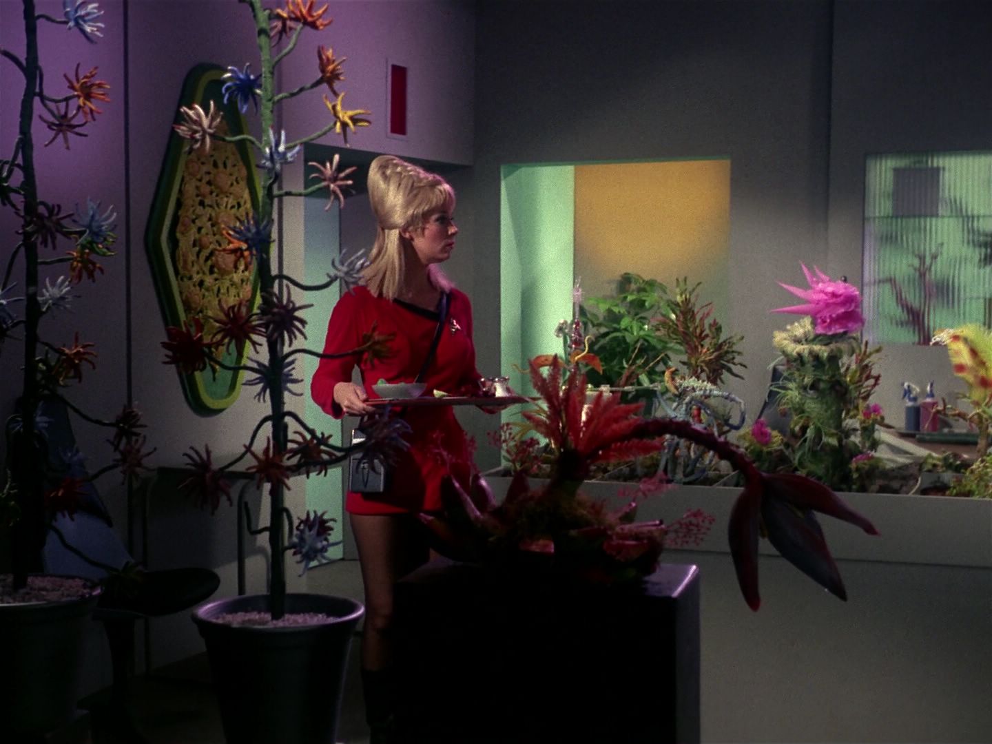 ariane179254_StarTrek_1x01_TheManTrap_1221.jpg