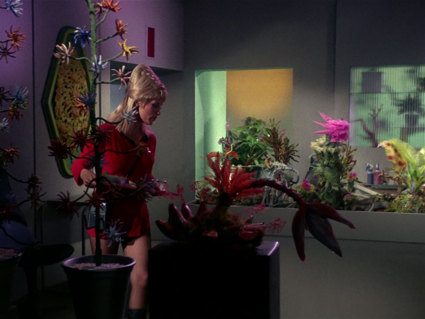 ariane179254_StarTrek_1x01_TheManTrap_1223.jpg