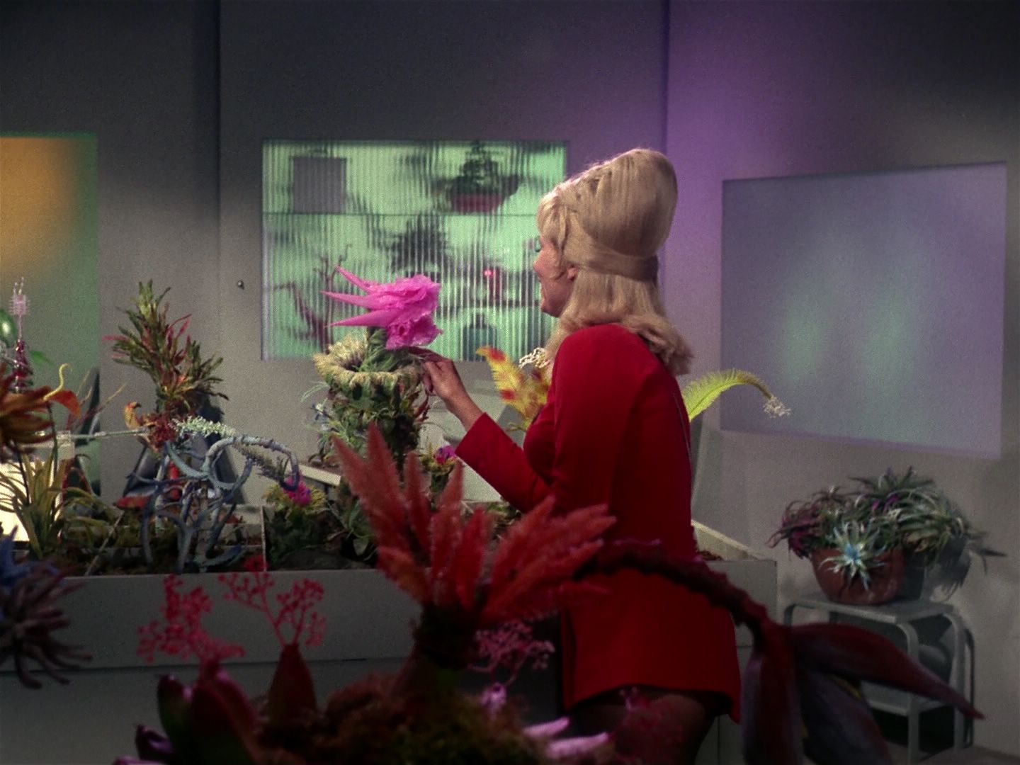 ariane179254_StarTrek_1x01_TheManTrap_1230.jpg