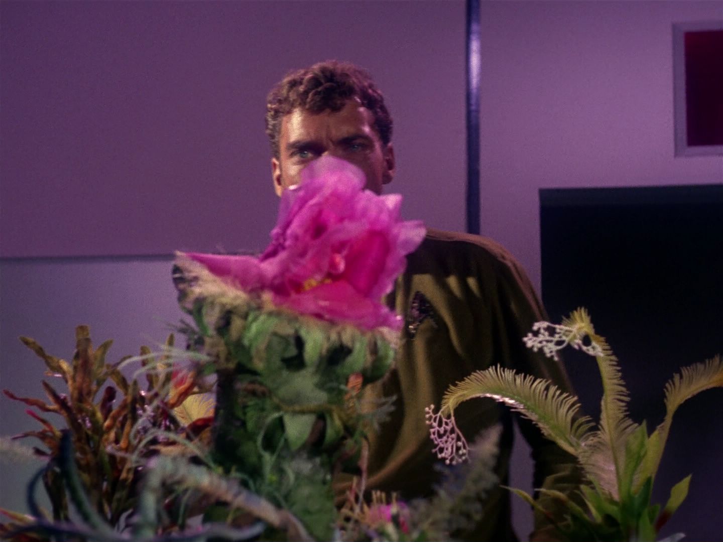 ariane179254_StarTrek_1x01_TheManTrap_1313.jpg