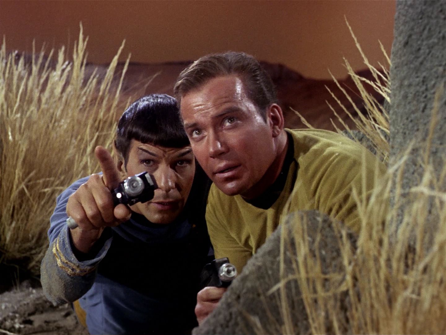 ariane179254_StarTrek_1x01_TheManTrap_1950.jpg