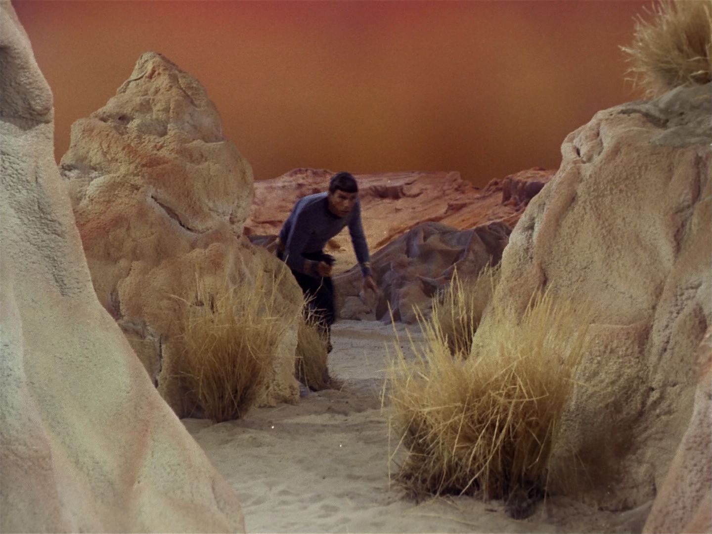 ariane179254_StarTrek_1x01_TheManTrap_2024.jpg
