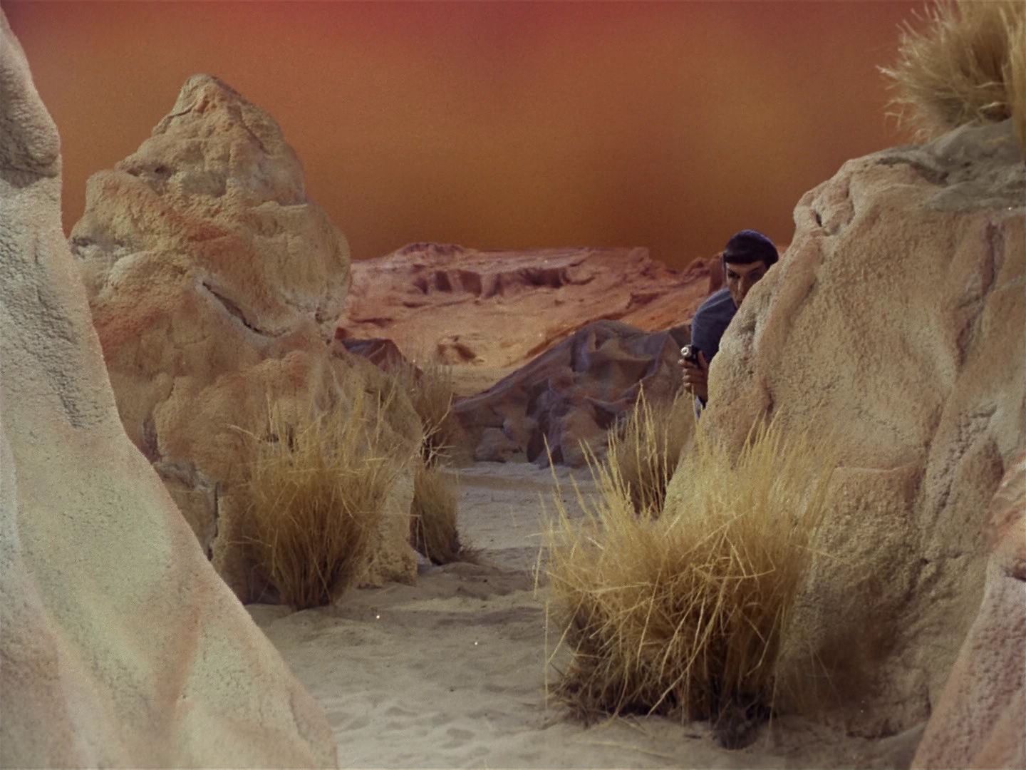 ariane179254_StarTrek_1x01_TheManTrap_2026.jpg