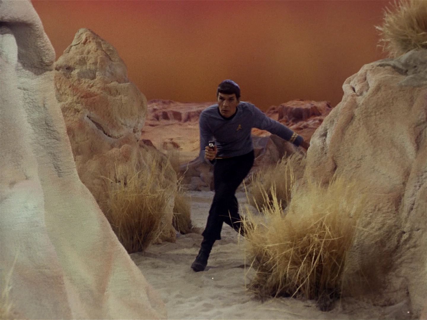 ariane179254_StarTrek_1x01_TheManTrap_2029.jpg