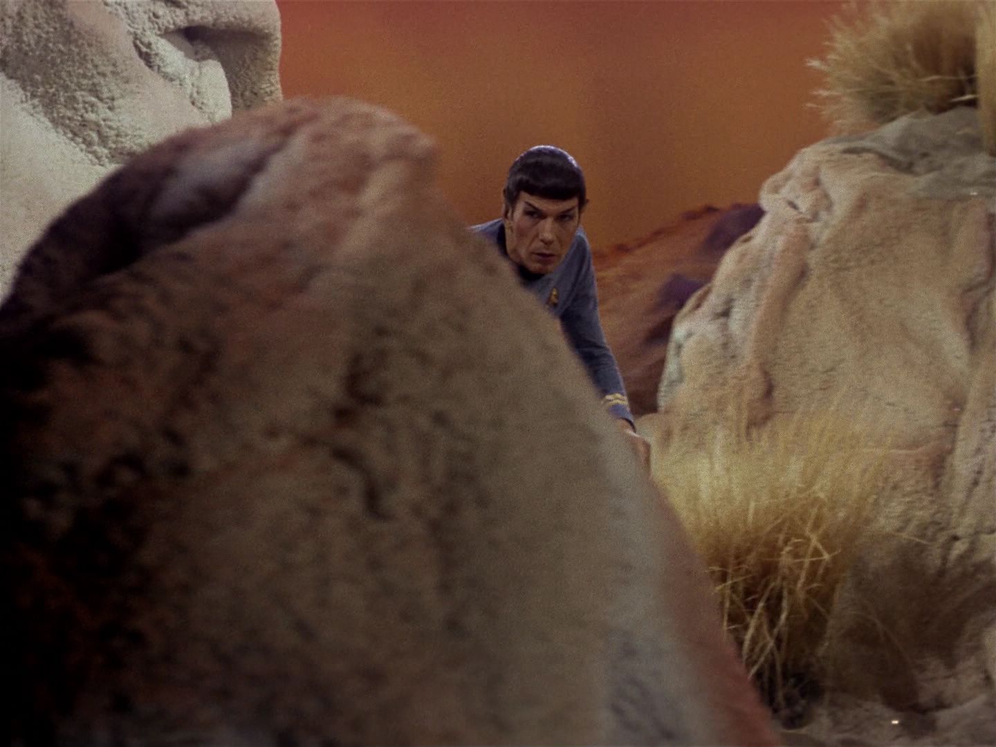 ariane179254_StarTrek_1x01_TheManTrap_2031.jpg