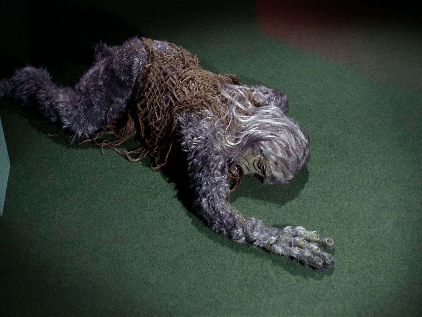 ariane179254_StarTrek_1x01_TheManTrap_2801.jpg