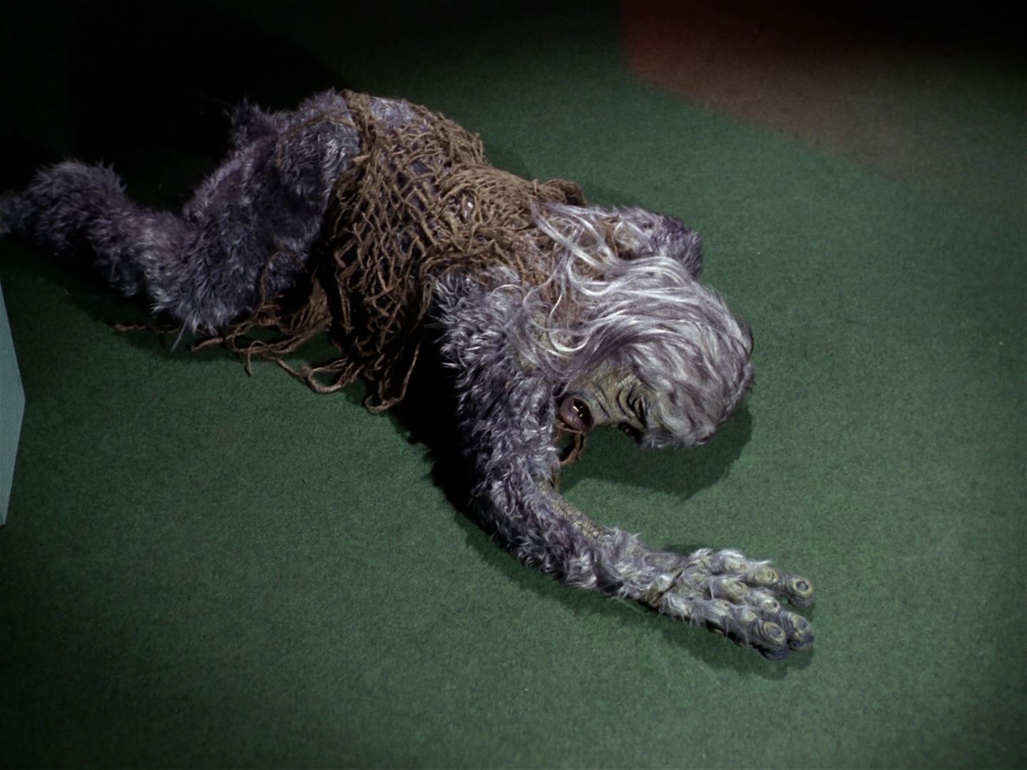 ariane179254_StarTrek_1x01_TheManTrap_2803.jpg