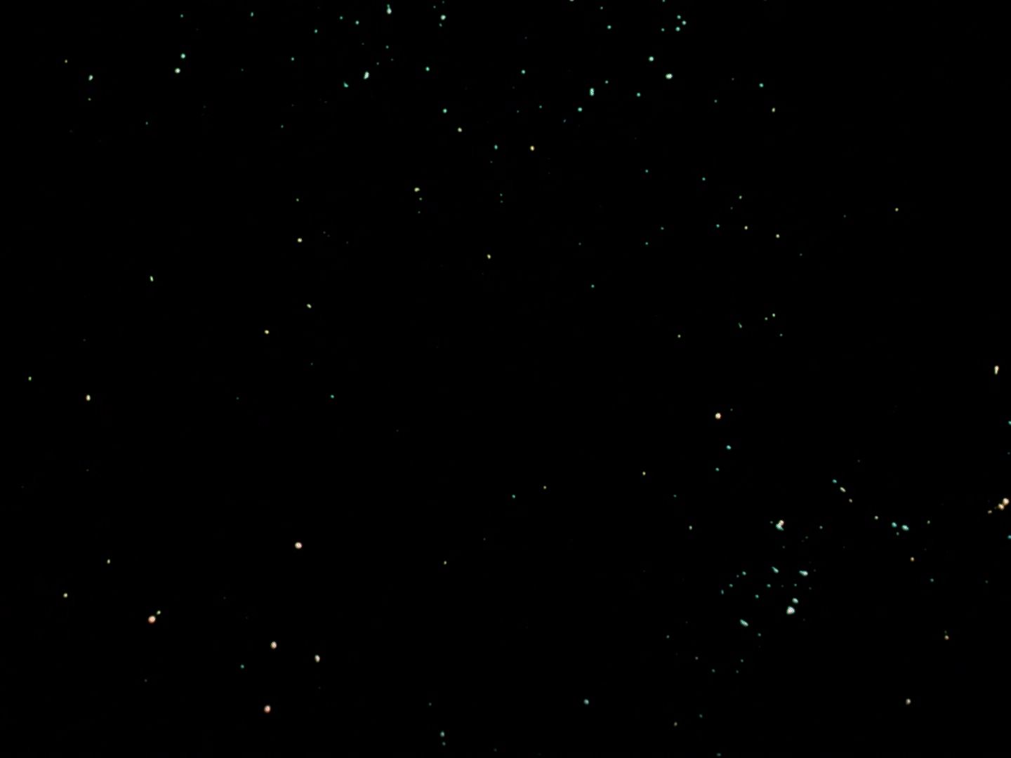 ariane179254_StarTrek_1x01_TheManTrap_2885.jpg
