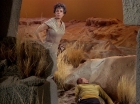 Filename=ariane179254_StarTrek_1x01_TheManTrap_0984.jpg
Filesize=220KiB
Dimensions=1440x1080
Date added=Feb 25, 2012 ariane179254_StarTrek_1x01_TheManTrap_0984.jpg