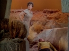 Filename=ariane179254_StarTrek_1x01_TheManTrap_0990.jpg
Filesize=169KiB
Dimensions=1440x1080
Date added=Feb 25, 2012 ariane179254_StarTrek_1x01_TheManTrap_0990.jpg