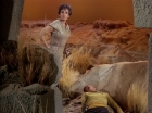 Filename=ariane179254_StarTrek_1x01_TheManTrap_0994.jpg
Filesize=200KiB
Dimensions=1440x1080
Date added=Feb 25, 2012 ariane179254_StarTrek_1x01_TheManTrap_0994.jpg