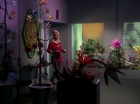Filename=ariane179254_StarTrek_1x01_TheManTrap_1217.jpg
Filesize=142KiB
Dimensions=1440x1080
Date added=Feb 25, 2012 ariane179254_StarTrek_1x01_TheManTrap_1217.jpg