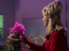 Filename=ariane179254_StarTrek_1x01_TheManTrap_1245.jpg
Filesize=123KiB
Dimensions=1440x1080
Date added=Feb 25, 2012 ariane179254_StarTrek_1x01_TheManTrap_1245.jpg