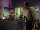 Filename=ariane179254_StarTrek_1x01_TheManTrap_1306.jpg
Filesize=133KiB
Dimensions=1440x1080
Date added=Feb 25, 2012 ariane179254_StarTrek_1x01_TheManTrap_1306.jpg