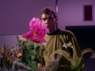 Filename=ariane179254_StarTrek_1x01_TheManTrap_1312.jpg
Filesize=136KiB
Dimensions=1440x1080
Date added=Feb 25, 2012 ariane179254_StarTrek_1x01_TheManTrap_1312.jpg