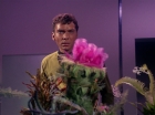 Filename=ariane179254_StarTrek_1x01_TheManTrap_1314.jpg
Filesize=127KiB
Dimensions=1440x1080
Date added=Feb 25, 2012 ariane179254_StarTrek_1x01_TheManTrap_1314.jpg
