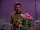 Filename=ariane179254_StarTrek_1x01_TheManTrap_1315.jpg
Filesize=121KiB
Dimensions=1440x1080
Date added=Feb 25, 2012 ariane179254_StarTrek_1x01_TheManTrap_1315.jpg