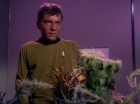 Filename=ariane179254_StarTrek_1x01_TheManTrap_1316.jpg
Filesize=128KiB
Dimensions=1440x1080
Date added=Feb 25, 2012 ariane179254_StarTrek_1x01_TheManTrap_1316.jpg