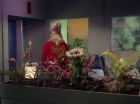 Filename=ariane179254_StarTrek_1x01_TheManTrap_1323.jpg
Filesize=151KiB
Dimensions=1440x1080
Date added=Feb 25, 2012 ariane179254_StarTrek_1x01_TheManTrap_1323.jpg