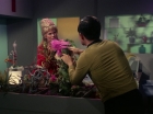 Filename=ariane179254_StarTrek_1x01_TheManTrap_1335.jpg
Filesize=138KiB
Dimensions=1440x1080
Date added=Feb 25, 2012 ariane179254_StarTrek_1x01_TheManTrap_1335.jpg