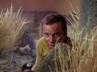 Filename=ariane179254_StarTrek_1x01_TheManTrap_1920.jpg
Filesize=191KiB
Dimensions=1440x1080
Date added=Feb 25, 2012 ariane179254_StarTrek_1x01_TheManTrap_1920.jpg