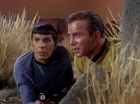 Filename=ariane179254_StarTrek_1x01_TheManTrap_1935.jpg
Filesize=182KiB
Dimensions=1440x1080
Date added=Feb 25, 2012 ariane179254_StarTrek_1x01_TheManTrap_1935.jpg