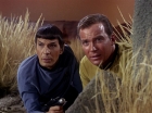 Filename=ariane179254_StarTrek_1x01_TheManTrap_1941.jpg
Filesize=184KiB
Dimensions=1440x1080
Date added=Feb 25, 2012 ariane179254_StarTrek_1x01_TheManTrap_1941.jpg