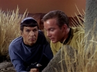 Filename=ariane179254_StarTrek_1x01_TheManTrap_1947.jpg
Filesize=180KiB
Dimensions=1440x1080
Date added=Feb 25, 2012 ariane179254_StarTrek_1x01_TheManTrap_1947.jpg