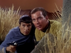 Filename=ariane179254_StarTrek_1x01_TheManTrap_1951.jpg
Filesize=188KiB
Dimensions=1440x1080
Date added=Feb 25, 2012 ariane179254_StarTrek_1x01_TheManTrap_1951.jpg