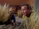Filename=ariane179254_StarTrek_1x01_TheManTrap_1955.jpg
Filesize=190KiB
Dimensions=1440x1080
Date added=Feb 25, 2012 ariane179254_StarTrek_1x01_TheManTrap_1955.jpg