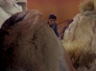 Filename=ariane179254_StarTrek_1x01_TheManTrap_2031.jpg
Filesize=145KiB
Dimensions=1440x1080
Date added=Feb 25, 2012 ariane179254_StarTrek_1x01_TheManTrap_2031.jpg