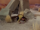 Filename=ariane179254_StarTrek_1x01_TheManTrap_2047.jpg
Filesize=186KiB
Dimensions=1440x1080
Date added=Feb 25, 2012 ariane179254_StarTrek_1x01_TheManTrap_2047.jpg