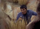 Filename=ariane179254_StarTrek_1x01_TheManTrap_2052.jpg
Filesize=173KiB
Dimensions=1440x1080
Date added=Feb 25, 2012 ariane179254_StarTrek_1x01_TheManTrap_2052.jpg