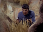 Filename=ariane179254_StarTrek_1x01_TheManTrap_2060.jpg
Filesize=176KiB
Dimensions=1440x1080
Date added=Feb 25, 2012 ariane179254_StarTrek_1x01_TheManTrap_2060.jpg