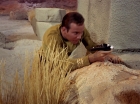 ariane179254_StarTrek_1x01_TheManTrap_2073.jpg
