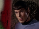 ariane179254_StarTrek_1x01_TheManTrap_2148.jpg