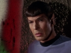 Filename=ariane179254_StarTrek_1x01_TheManTrap_2234.jpg
Filesize=109KiB
Dimensions=1440x1080
Date added=Feb 25, 2012 ariane179254_StarTrek_1x01_TheManTrap_2234.jpg