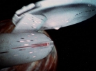 Filename=ariane179254_StarTrek_1x01_TheManTrap_2528.jpg
Filesize=181KiB
Dimensions=1440x1080
Date added=Feb 25, 2012 ariane179254_StarTrek_1x01_TheManTrap_2528.jpg