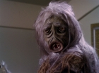 Filename=ariane179254_StarTrek_1x01_TheManTrap_2737.jpg
Filesize=118KiB
Dimensions=1440x1080
Date added=Feb 25, 2012 ariane179254_StarTrek_1x01_TheManTrap_2737.jpg