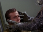 Filename=ariane179254_StarTrek_1x01_TheManTrap_2746.jpg
Filesize=113KiB
Dimensions=1440x1080
Date added=Feb 25, 2012 ariane179254_StarTrek_1x01_TheManTrap_2746.jpg