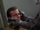 Filename=ariane179254_StarTrek_1x01_TheManTrap_2748.jpg
Filesize=114KiB
Dimensions=1440x1080
Date added=Feb 25, 2012 ariane179254_StarTrek_1x01_TheManTrap_2748.jpg