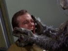 Filename=ariane179254_StarTrek_1x01_TheManTrap_2751.jpg
Filesize=120KiB
Dimensions=1440x1080
Date added=Feb 25, 2012 ariane179254_StarTrek_1x01_TheManTrap_2751.jpg