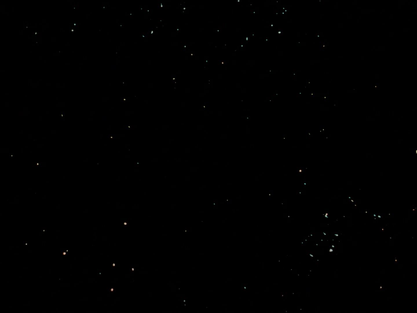ariane179254_StarTrek_1x02_CharlieX_3140.jpg