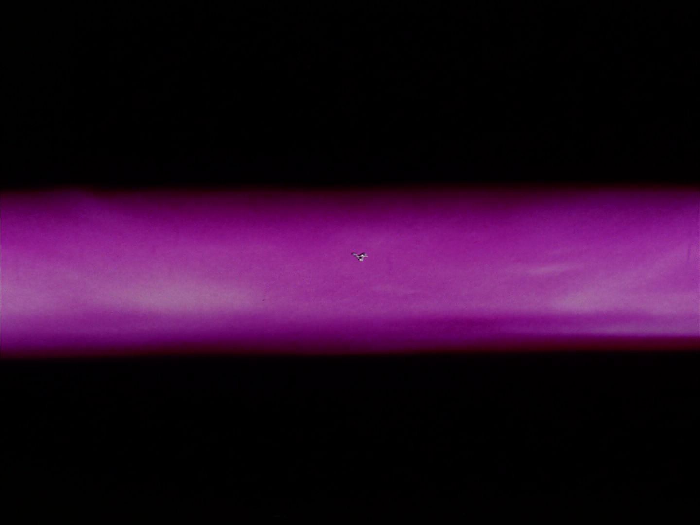 ariane179254_StarTrek_1x03_WhereNoManHasGoneBefore_0587.jpg